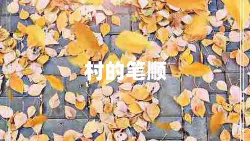 村的笔顺