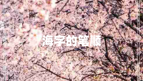 海字的笔顺