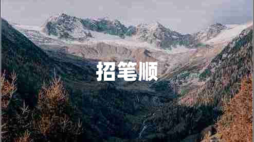 招笔顺
