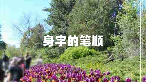 身字的笔顺