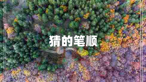猜的笔顺
