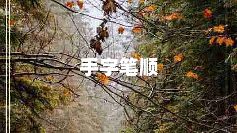 手字笔顺 手字笔顺