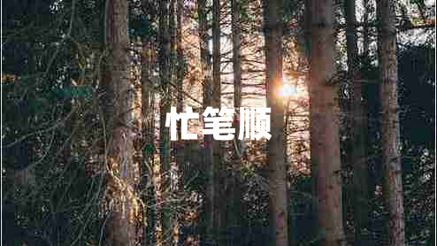 忙笔顺