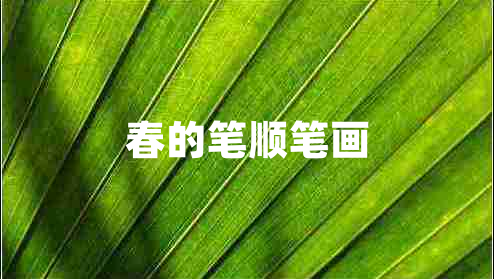 春的笔顺笔画