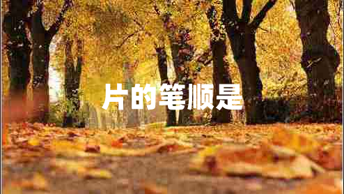 片的笔顺是