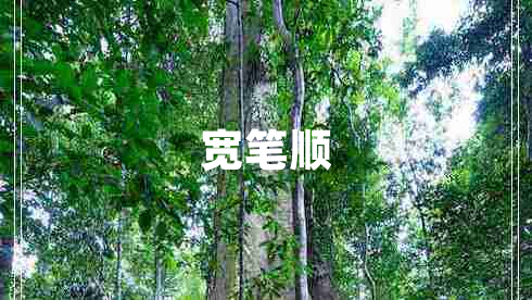 宽笔顺