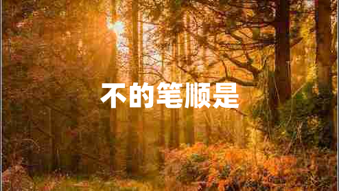 不的笔顺是