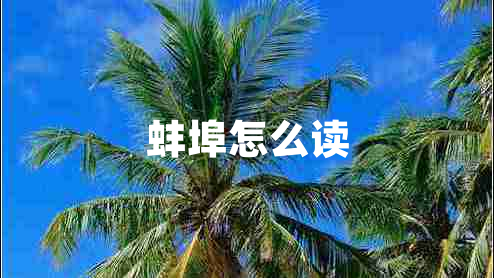 蚌埠怎么读