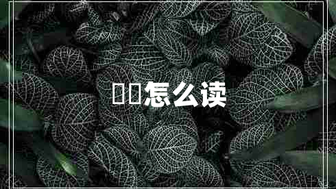 蒟蒻怎么读