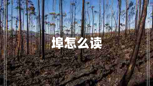 埠怎么读