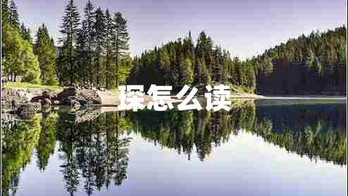 琛怎么读