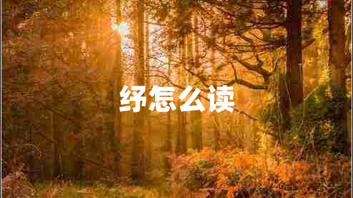 纾怎么读