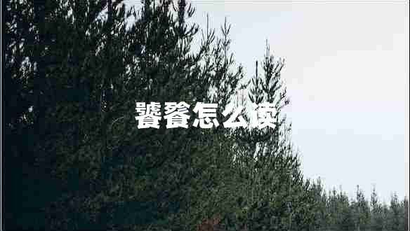 饕餮怎么读