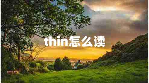 thin怎么读