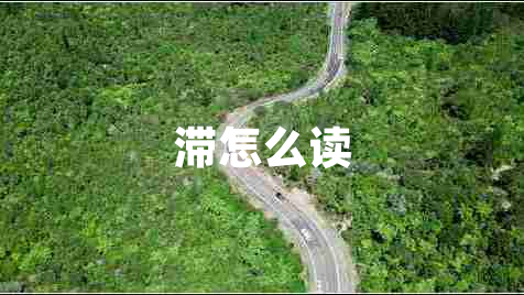 滞怎么读