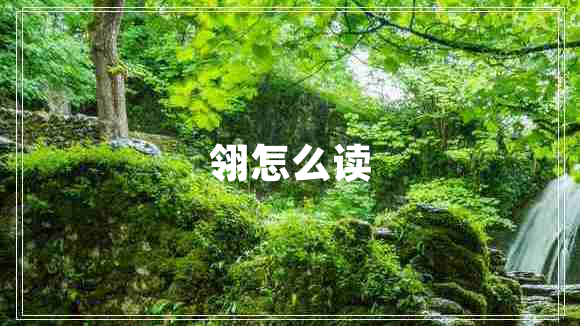 翎怎么读 翎怎么读