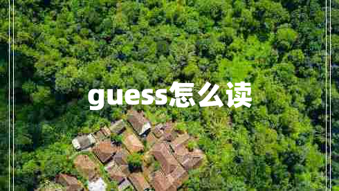 guess怎么读