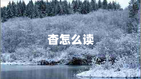 杳怎么读