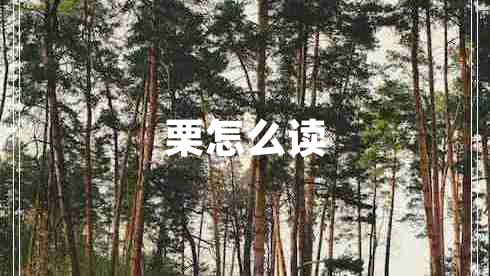 栗怎么读