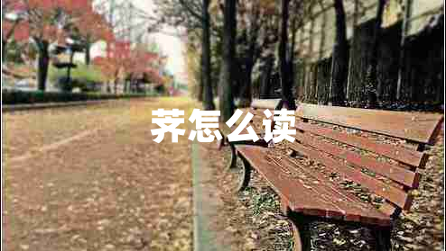 荠怎么读