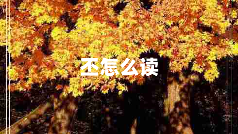 丕怎么读