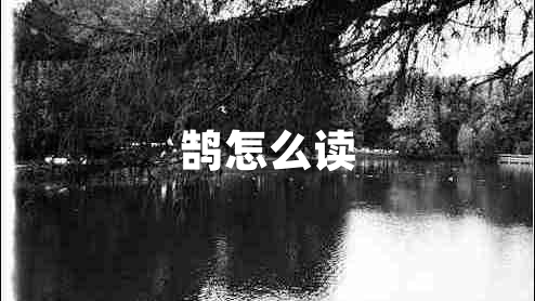 鹄怎么读