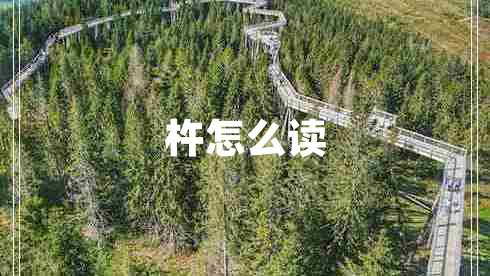 杵怎么读