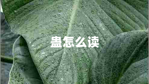 蛊怎么读