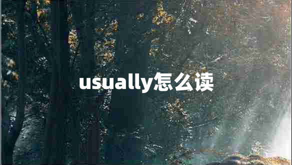 usually怎么读