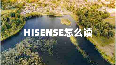 HISENSE怎么读