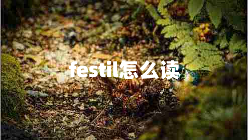 festil怎么读