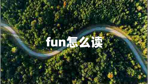 fun怎么读