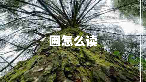 圃怎么读