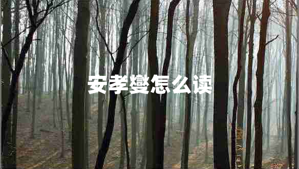 安孝燮怎么读