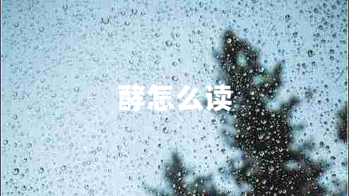 酵怎么读