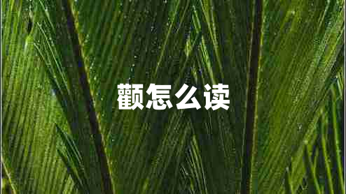 颧怎么读