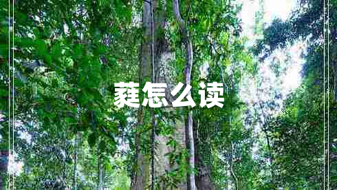 蕤怎么读