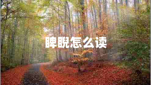 睥睨怎么读