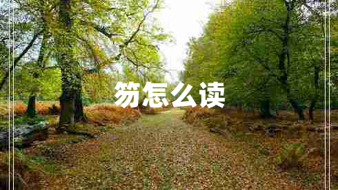 笏怎么读
