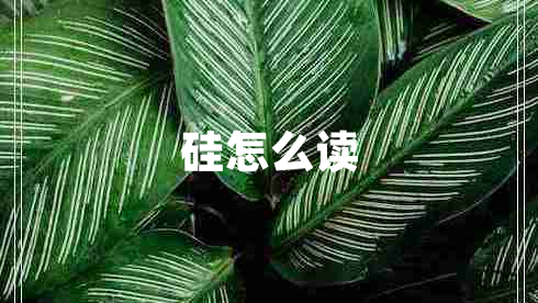 硅怎么读