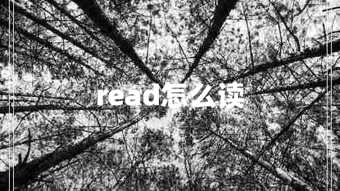 read怎么读