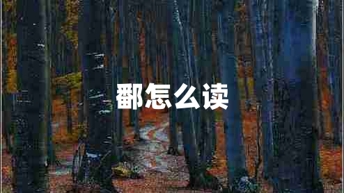 鄱怎么读