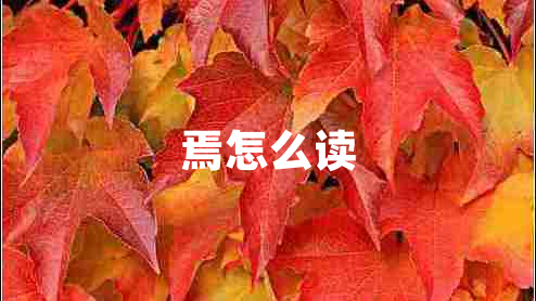 焉怎么读
