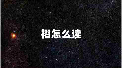 褶怎么读