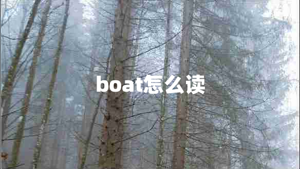 boat怎么读