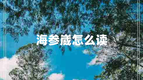 海参崴怎么读