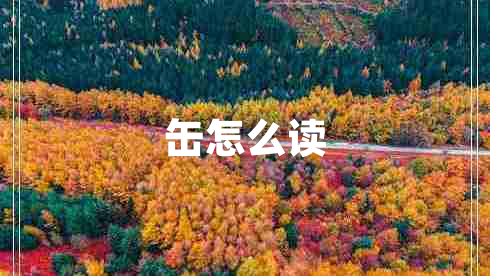 缶怎么读