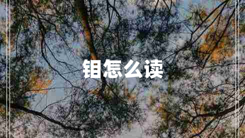 钼怎么读