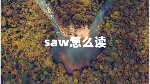 saw怎么读