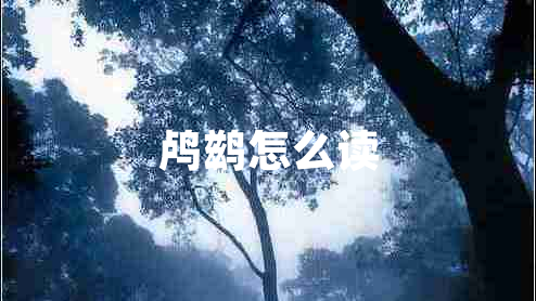 鸬鹚怎么读